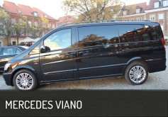 Mercedes Viano